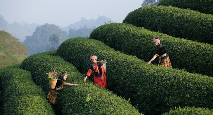 Odkryj Sekrety Karty Lunchowej: Co To Jest i Jak Efektywnie z Niej Korzystać?