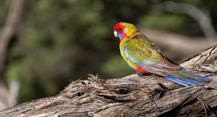 Kto Zarabia Najwięcej w UE? Szokujące Różnice Wynagrodzeń w Poszczególnych Sektory!